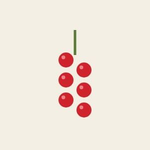 Schizandra berry