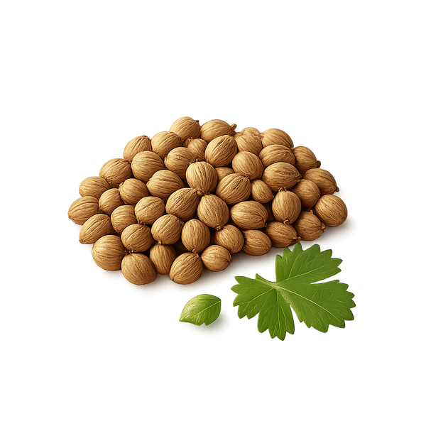 Coriander
