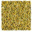 Egyptian Chamomile