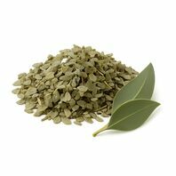 Eucalyptus