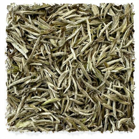 Imperial Fujian Silver White Needle