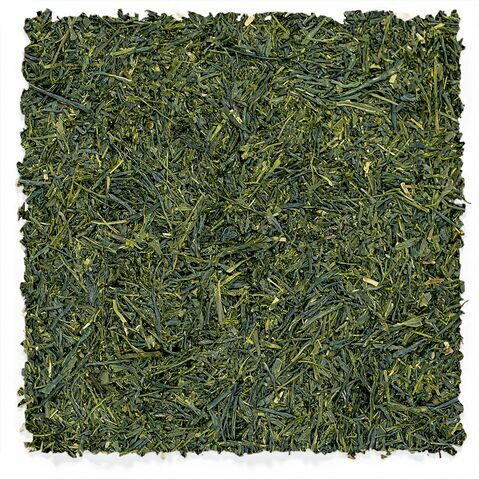 Yame Sencha | Reserva de Fukuoka