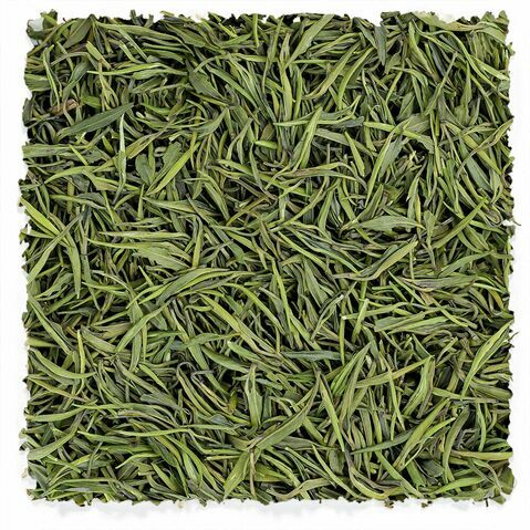 chinese jasmine green tea