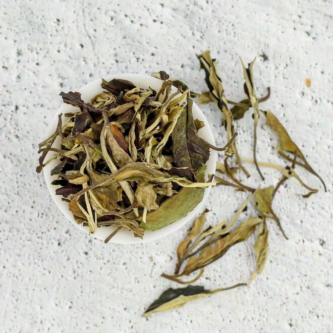 Imperialer Pai Mu Tan Weiße Pfingstrose